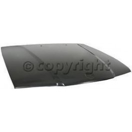 Hood panel assy