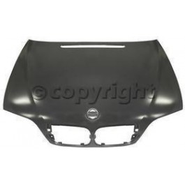 Hood panel assy