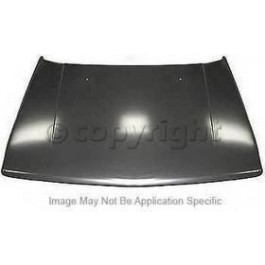 Hood panel assy