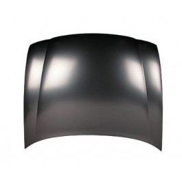 Hood panel assy