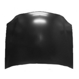 Hood panel assy