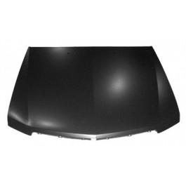 Hood panel assy