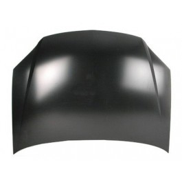 Hood panel assy