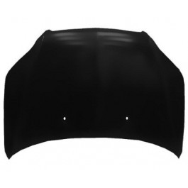 Hood panel assy