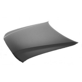 Hood panel assy