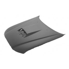 Hood panel assy