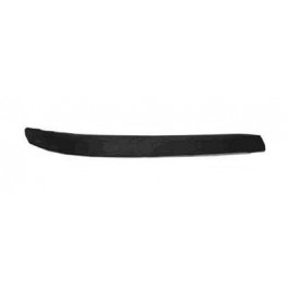 RT Front bumper molding