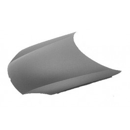 Hood panel assy