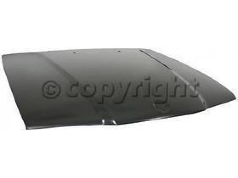 Hood panel assy