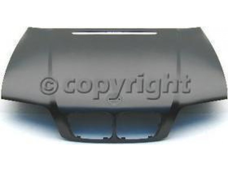 Hood panel assy