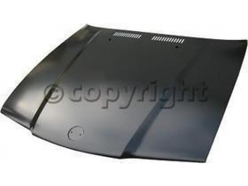 Hood panel assy