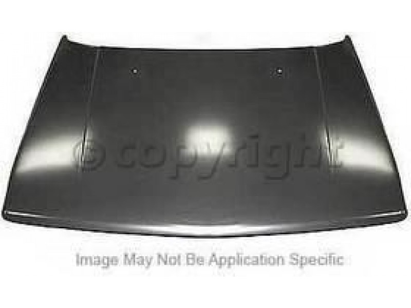Hood panel assy