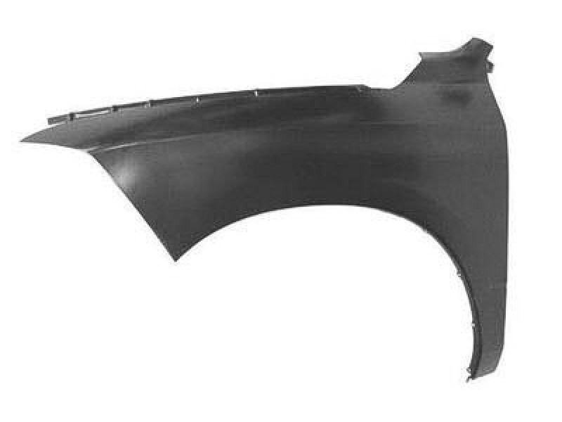 LT Front fender assy