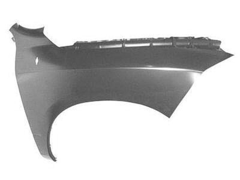 RT Front fender assy
