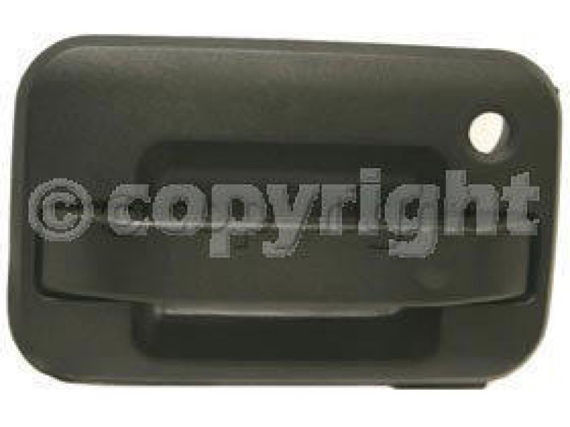 RT Front door handle outer