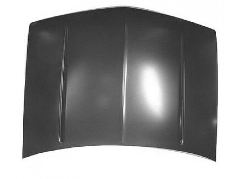 Hood panel assy