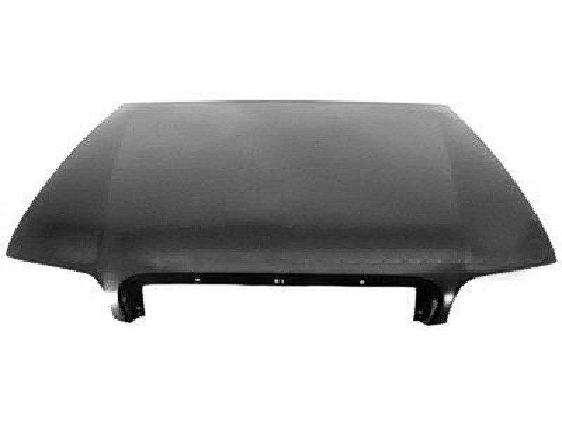 Hood panel assy