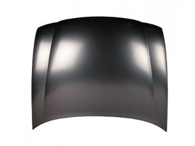 Hood panel assy