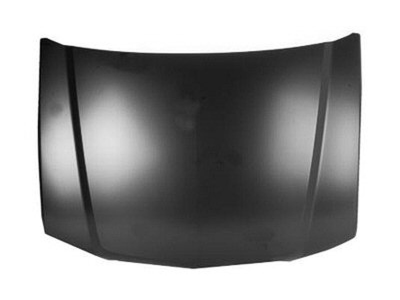 Hood panel assy