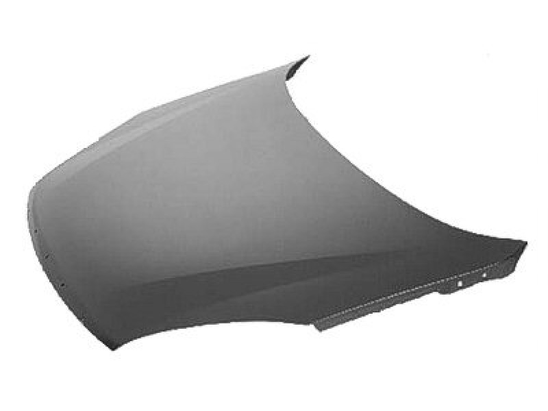 Hood panel assy