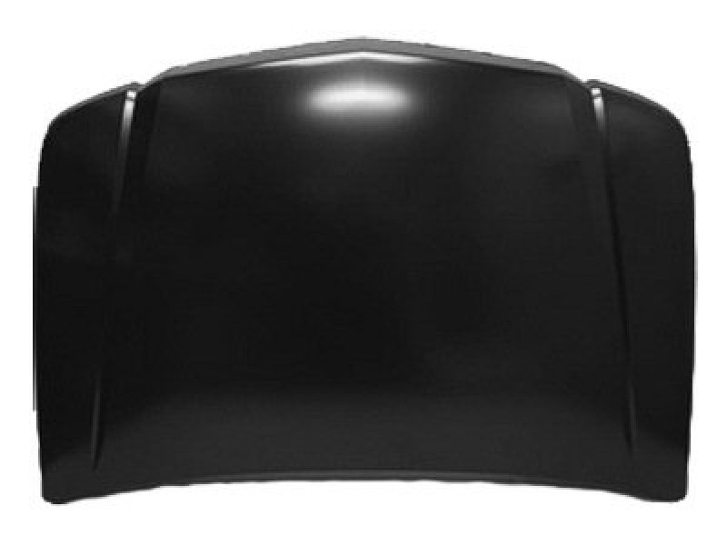 Hood panel assy