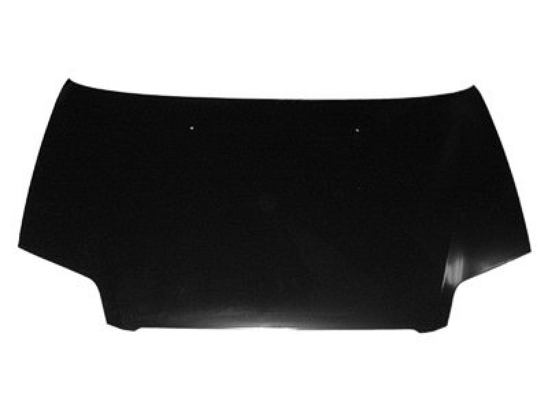 Hood panel assy
