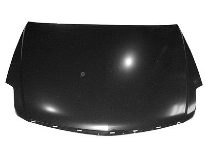 Hood panel assy