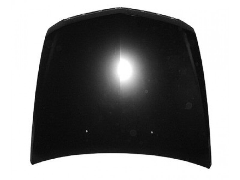 Hood panel assy