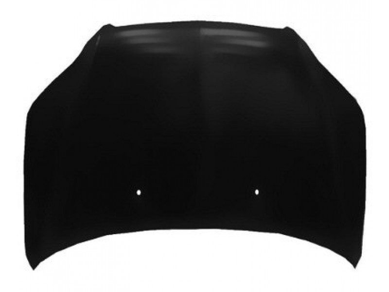 Hood panel assy