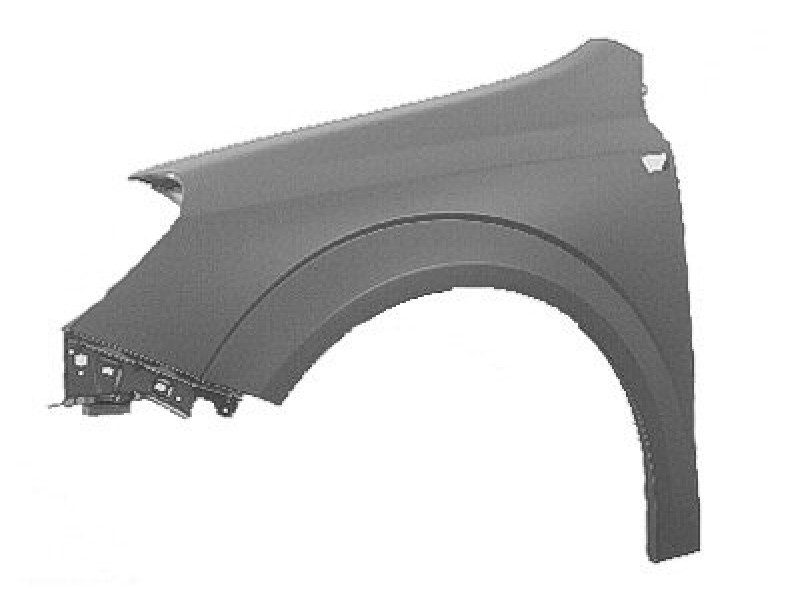 LT Front fender assy