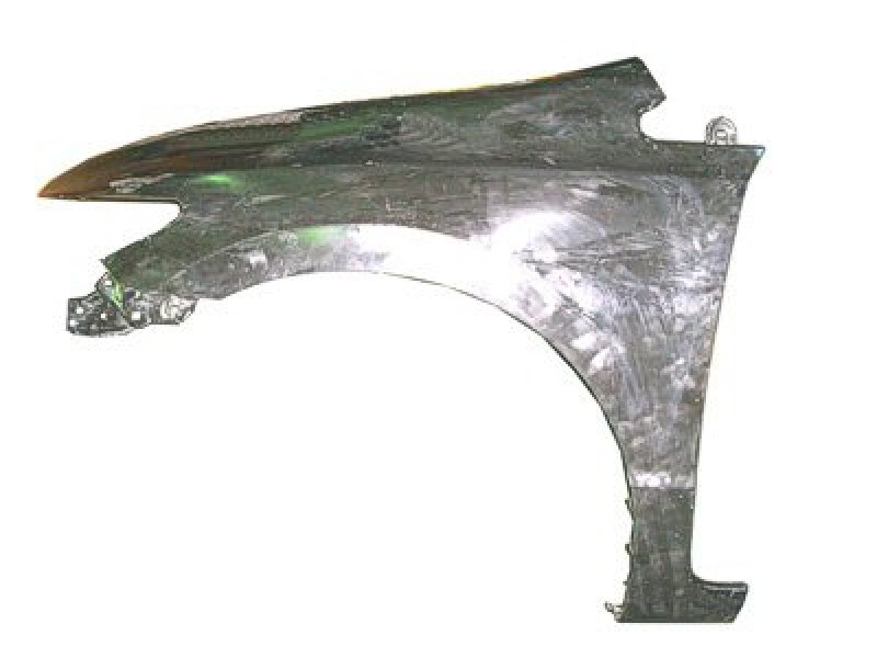 LT Front fender assy
