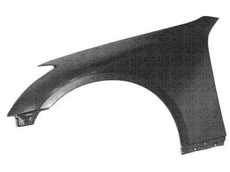 LT Front fender assy