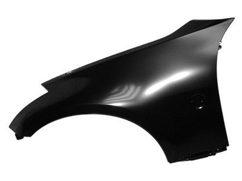 LT Front fender assy