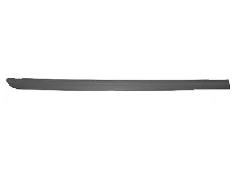 RT Rear door side molding