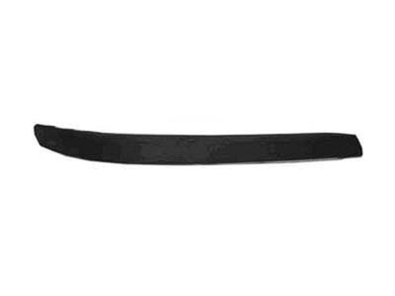 RT Front bumper molding