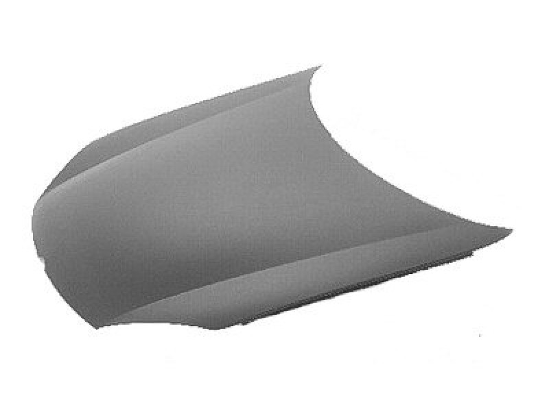 Hood panel assy