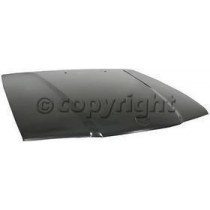 Hood panel assy