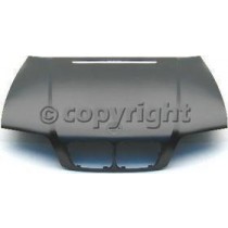 Hood panel assy