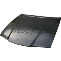 Hood panel assy
