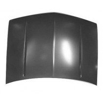 Hood panel assy