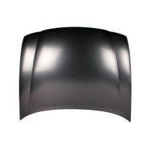 Hood panel assy