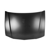 Hood panel assy
