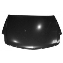 Hood panel assy