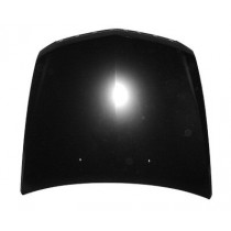 Hood panel assy