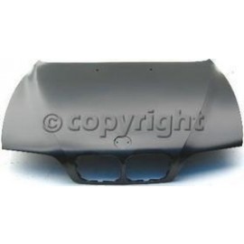 Hood panel assy