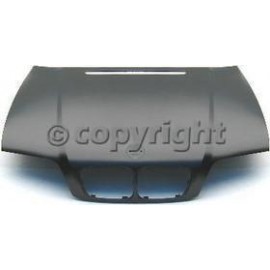 Hood panel assy