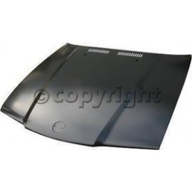 Hood panel assy