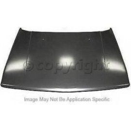 Hood panel assy