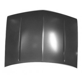 Hood panel assy