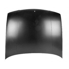 Hood panel assy